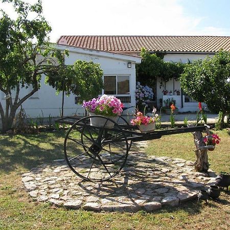 El Condado Casa Rural Fuentes de Onoro Eksteriør billede