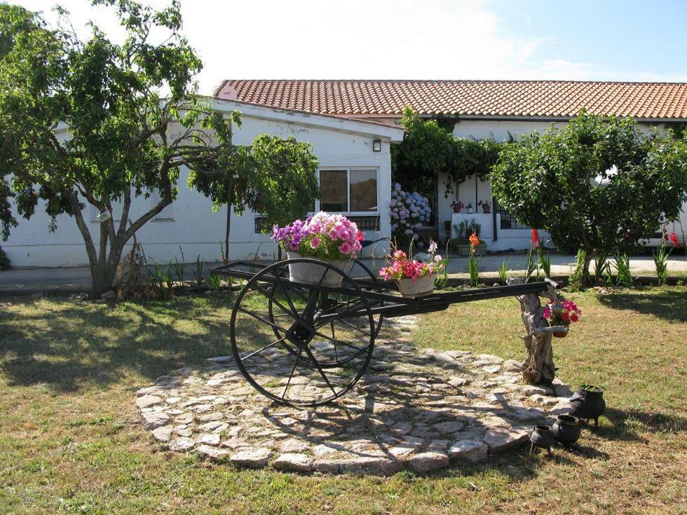 El Condado Casa Rural Fuentes de Onoro Eksteriør billede